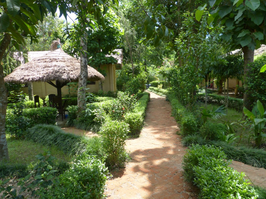 Nature Safari Resort